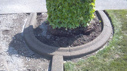 Concrete-Curbing-Fircrest-WA