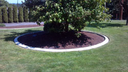 Garden and Yard Edging for Federal Way, WA